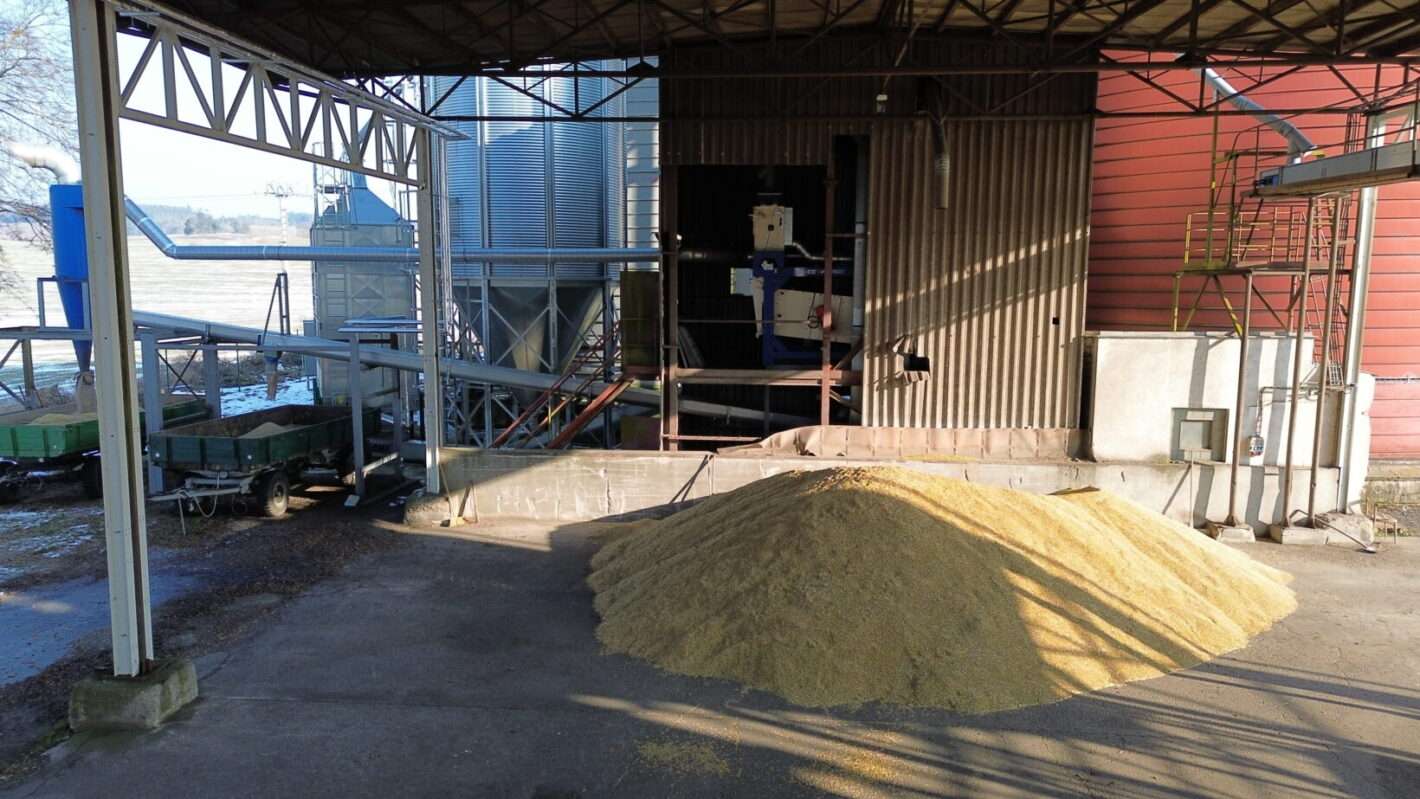 ZD Přešťovice – provoz posklizňové linky, zrno v hale (2. etapa)